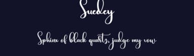 Suedey by Bearytype — Script Handwritten Font — thumbnail 2