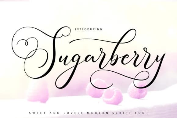 Sugarberry Font by Vunira — Script Handwritten Font
