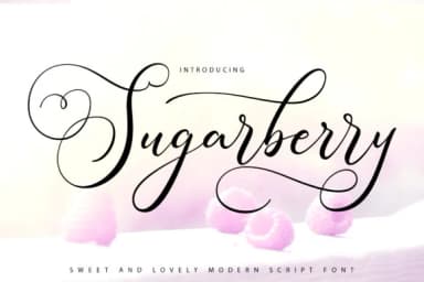 Sugarberry Font by Vunira — Script Handwritten Font — thumbnail 1