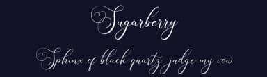 Sugarberry by Vunira Design — Script Handwritten Font — thumbnail 2