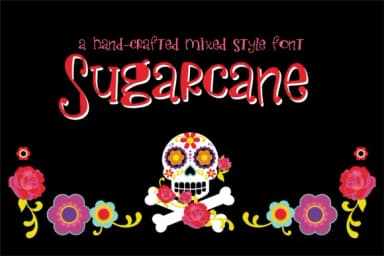 Sugarcane Font by Illustration Ink — Script Handwritten Font — thumbnail 1