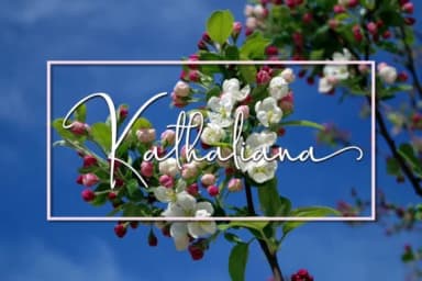 Sugartina Font by Jorse Creative — Script Handwritten Font — thumbnail 7