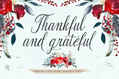 Suhainora Font by Picatype Studio — Script Handwritten Font — thumbnail 8