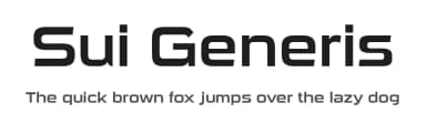 Sui Generis by Typodermic Fonts — Sans Serif Font — thumbnail 1