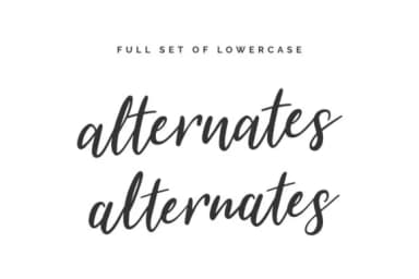 Summer Festival Font by wornoutmedia — Script Handwritten Font — thumbnail 2