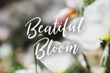 Summer Festival Font by wornoutmedia — Script Handwritten Font — thumbnail 4