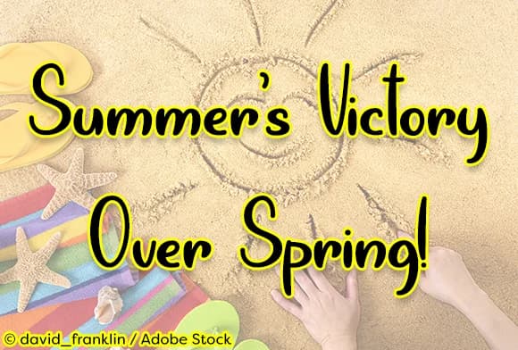 Summer's Victory over Spring Font by Misti — Script Handwritten Font