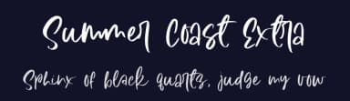 Summer Coast Extra by AZ Std — Dingbats Font — thumbnail 2