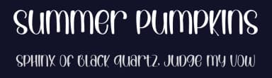 Summer Pumpkins by PiPi Creative STUDIO — Script Handwritten Font — thumbnail 2