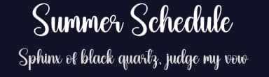 Summer Schedule by Scratchones — Script Handwritten Font — thumbnail 2