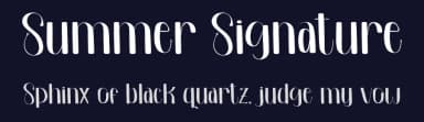 Summer Signature by Inermedia Studio — Script Handwritten Font — thumbnail 2