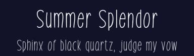 Summer Splendor by Md Shohail Bhuian — Script Handwritten Font — thumbnail 2
