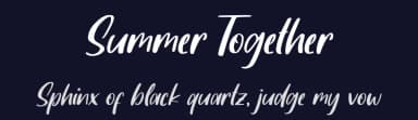 Summer Together by FatmaStudio — Script Handwritten Font — thumbnail 2