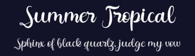 Summer Tropical by FallenGraphic Studio — Script Handwritten Font — thumbnail 2