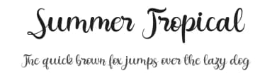 Summer Tropical by FallenGraphic Studio — Script Handwritten Font — thumbnail 1