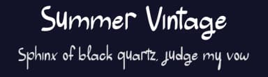 Summer Vintage by Roni Studio — Script Handwritten Font — thumbnail 2