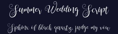 Summer Wedding Script by Nico Muslib — Script Handwritten Font — thumbnail 2