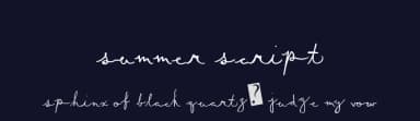 Summer Script by Xerographer Fonts — Script Handwritten Font — thumbnail 2