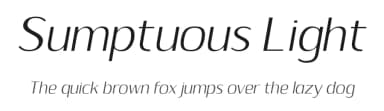 Sumptuous Light by Locomotype — Sans Serif Font — thumbnail 1