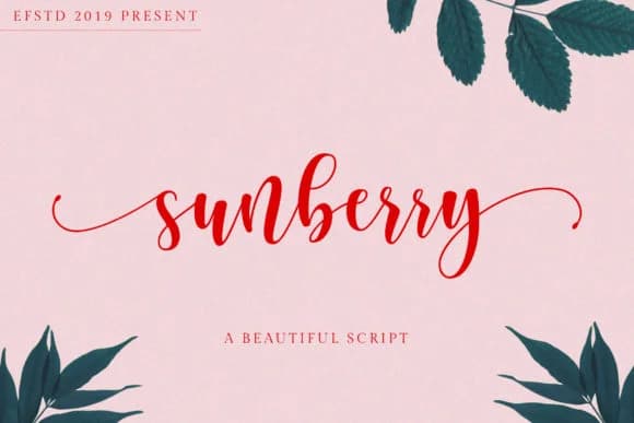 Sunberry Font by Ef Studio — Script Handwritten Font