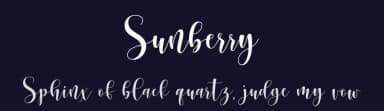 Sunberry by Ef Studio — Script Handwritten Font — thumbnail 2
