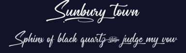 Sunbury Town by VinType — Script Handwritten Font — thumbnail 2