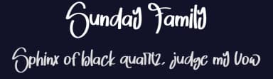 Sunday Family by Gado Gado — Script Handwritten Font — thumbnail 2