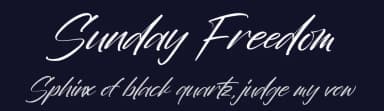 Sunday Freedom by Perspectype Studio - Letterena.com — Script Handwritten Font — thumbnail 2