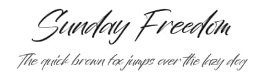 Sunday Freedom by Perspectype Studio - Letterena.com — Script Handwritten Font — thumbnail 1