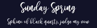 Sunday Spring by Din Studio — Script Handwritten Font — thumbnail 2