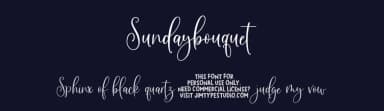 Sundaybouquet by Jimtype Studio — Script Handwritten Font — thumbnail 2