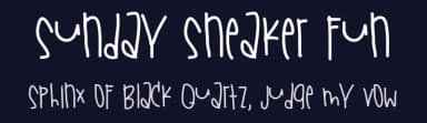 Sunday Sneaker Fun by Des Gomez — Script Handwritten Font — thumbnail 2