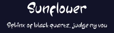 Sunflower by Seneka Grafika — Script Handwritten Font — thumbnail 2