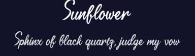 Sunflower by Belina Studio — Script Handwritten Font — thumbnail 2