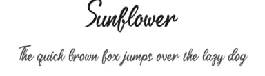 Sunflower by Belina Studio — Script Handwritten Font — thumbnail 1