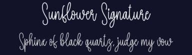 Sunflower Signature by Scratchones — Script Handwritten Font — thumbnail 2