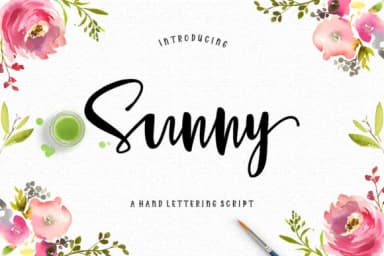 Sunny Script Font by luckytype.font — Script Handwritten Font — thumbnail 1