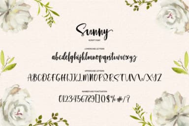 Sunny Script Font by luckytype.font — Script Handwritten Font — thumbnail 8