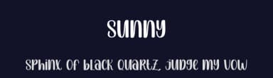 Sunny by Scratchones — Script Handwritten Font — thumbnail 2