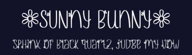 Sunny Bunny by Allouse Studio — Script Handwritten Font — thumbnail 2