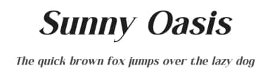 Sunny Oasis by Letterena Studios — Serif Font — thumbnail 1