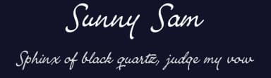 Sunny Sam by Måns Grebäck — Script Handwritten Font — thumbnail 2