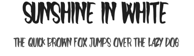 Sunshine In White by Feri Fauzi — Script Handwritten Font