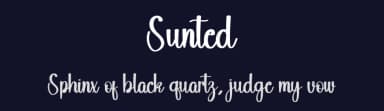 Sunted by PiPi Creative STUDIO — Script Handwritten Font — thumbnail 2