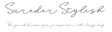 Sureder Stylish by Typetemp Studio — Script Handwritten Font — thumbnail 1