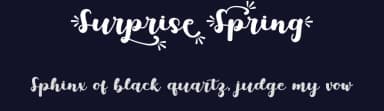 Surprise Spring by PutraCetol Studio — Script Handwritten Font — thumbnail 2