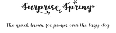 Surprise Spring by PutraCetol Studio — Script Handwritten Font — thumbnail 1