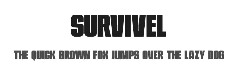 Survivel by Kong Font — Sans Serif Font