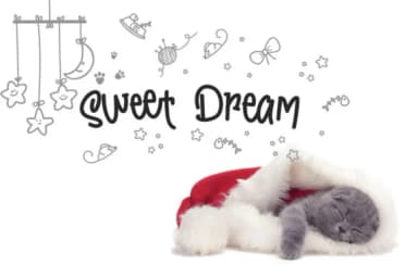 Sushi Omelette Font by lemoncraft — Script Handwritten Font — thumbnail 5