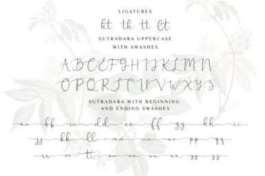 Sutra Dara Font by SayStudio — Script Handwritten Font — thumbnail 9